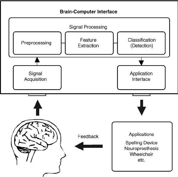 Components-of-a-BCI-system-signals-from-the-users-brain-are-acquired-and-processed-to.png